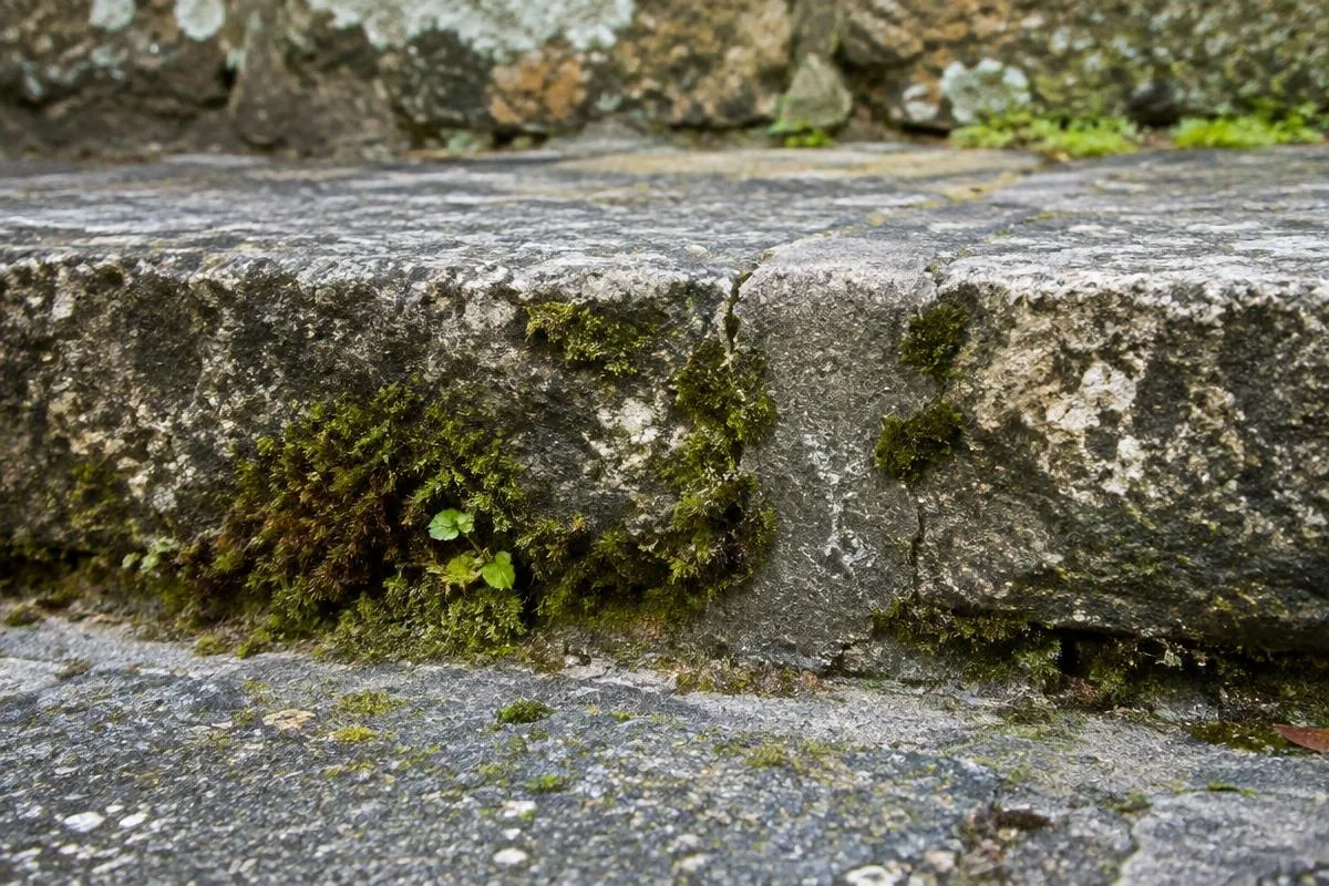 Close-up of a natural stone step edge with moss